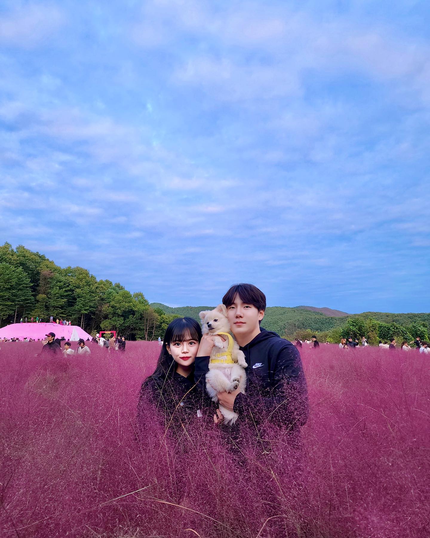 #협찬  #핑크뮬리 오빠랑 오랜만에 하는 나들이 겸 꼬미와 함께한 첫 핑크뮬리💓💓
언덕도 많아서 유모차 끌고 간 걸 후회했지만 넘 예쁜 핑크뮬리에 기분이 확 풀려버림 ㅠㅠ💖💖
울 꼬미도 냄새 맡느라 킁킁 난리남 ㅎㅎ
꼬미가 넘 좋아하며 신나서 기분 조타😁
강아지와 함께 여행으로 오는 거 추천합니다
하지만 강아지와 같이 트랙터 탑승은 못하고 핑크뮬리 올라갈때 좀 많이 힘들다는 것 ㅠㅠ🥲

 #포천가볼만한곳 #허브아일랜드 #데이트코스 #서울근교나들이 #아이와가볼만한곳 #아이와함께가볼만한곳 #아이와함께 #강아지산책 #댕댕이그램