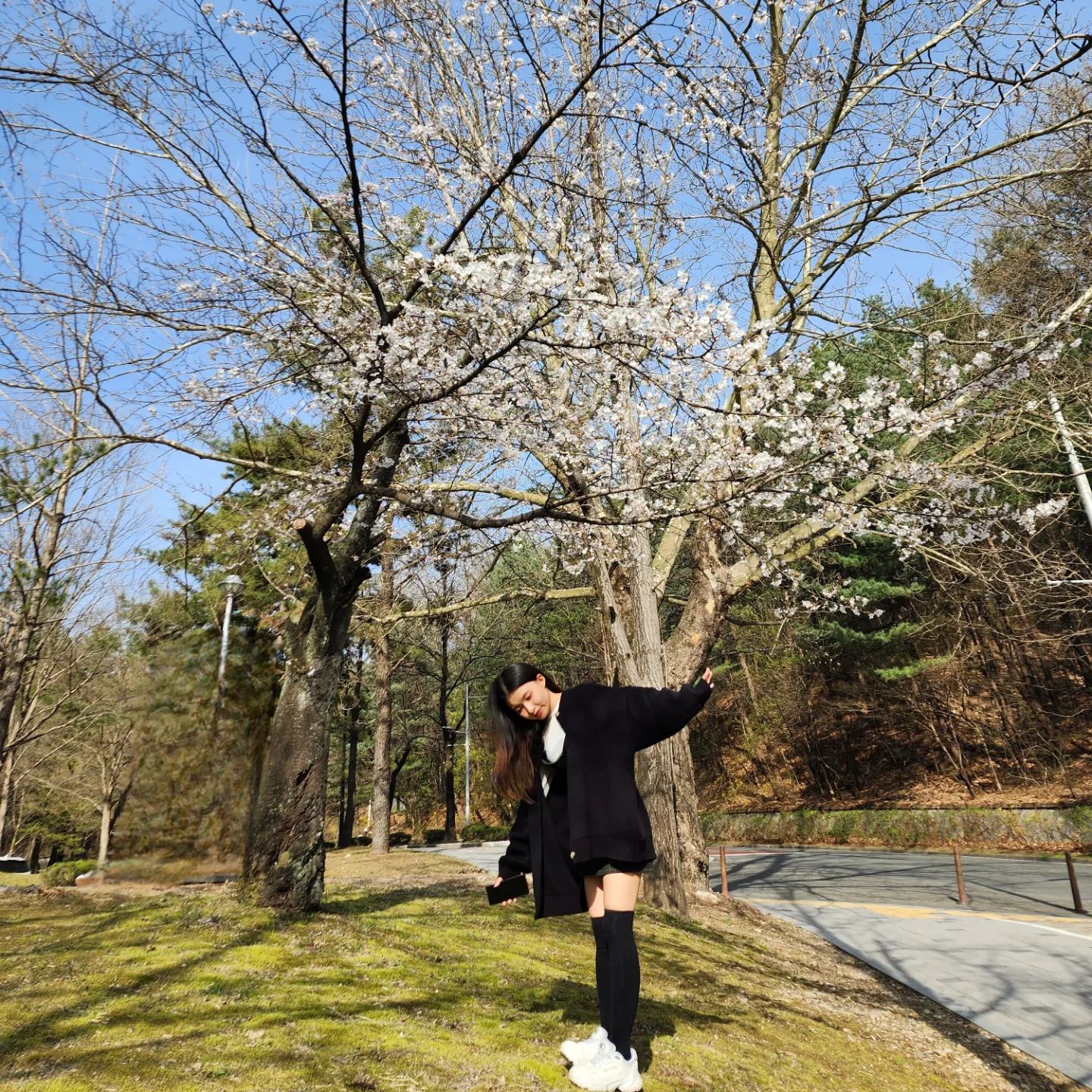 #벚꽃🌸