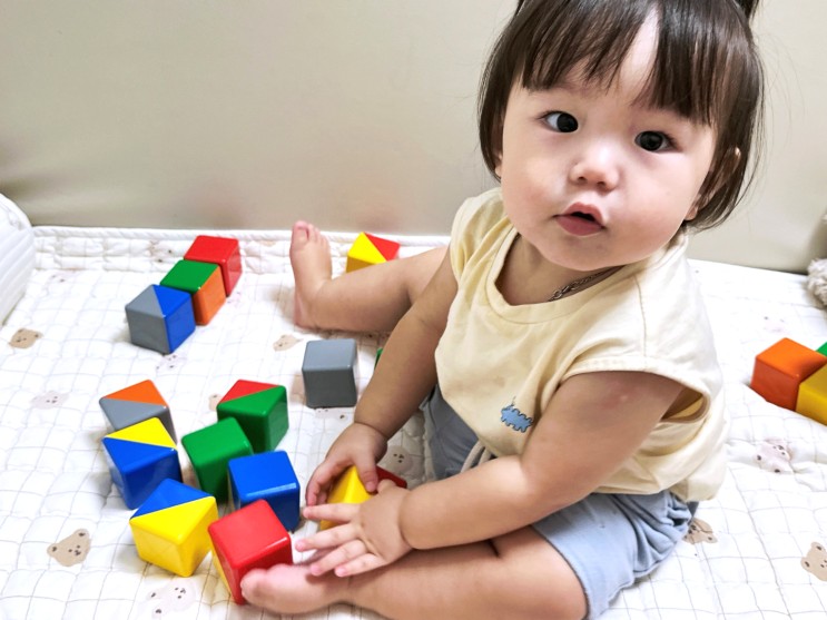 아람북스 소전집 세이펜 가능 치카치카 생활동화 아똥그림책 빌드블록