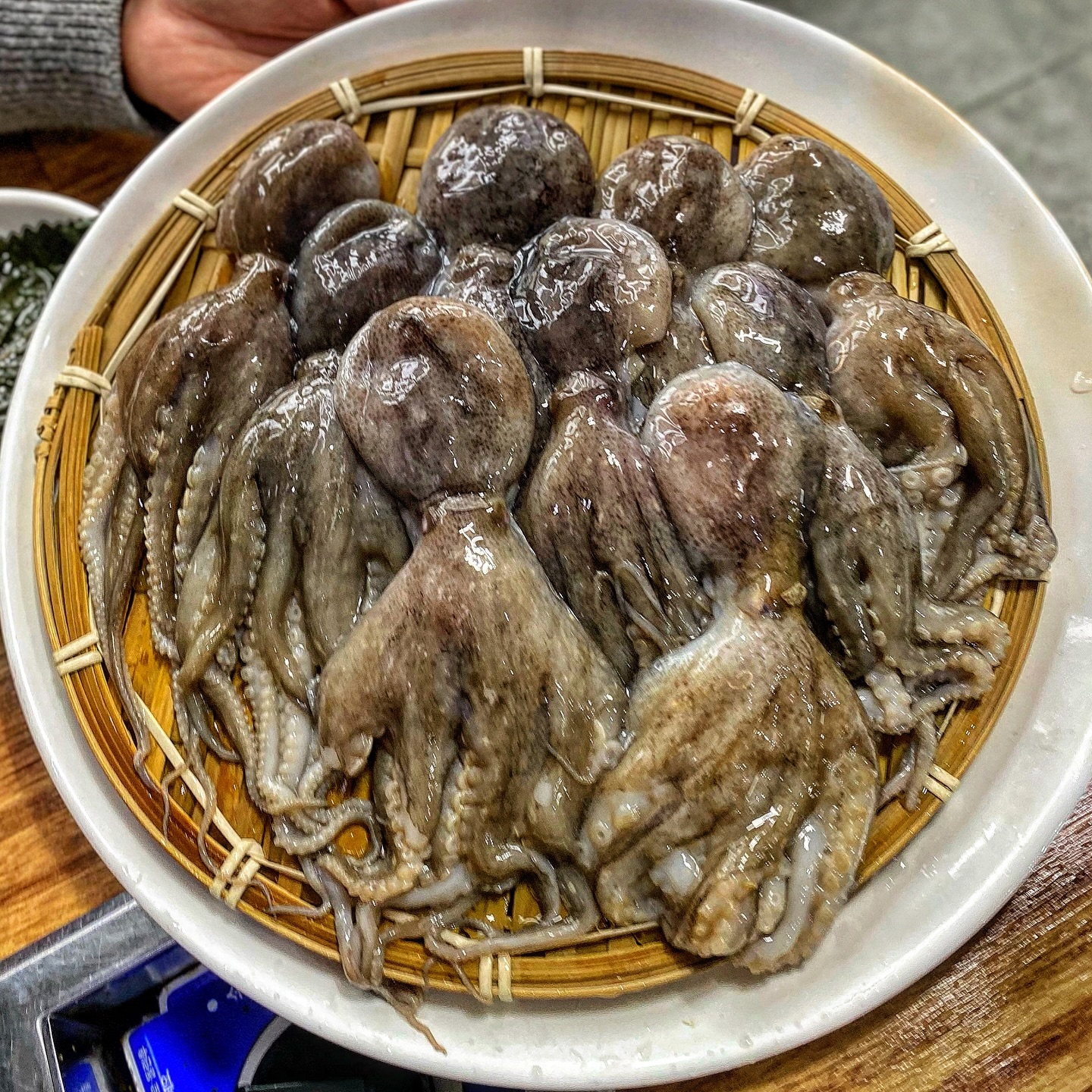 서원시장 소문난초량할매쭈꾸미
이 집은 양념보단 쭈꾸미 샤브샤브가 더 땡김.
국물이 끓이면 끓일수록 진국.... 쭈꾸미 대가리 터지면 국물이 꺼매지는데 그때부터 국물이 찐이다... 해장되면서 또 술 들어가는 맛... 한번씩 너무 땡겨. 고기 샤브는 첨 먹었는데 좀 아쉽.. 양념없는 깔끔한 볶음밥까지 마무리!! 
거진 뭐 #잔반없는날 
.
.
.
#예동_소문난초량할매쭈꾸미
#예동_안락동
#예동맛집
#소문난초량할매쭈꾸미 #안락동 #안락동맛집 #서원시장 #서원시장맛집 #안락동밥집 #초량할매쭈꾸미 #쭈꾸미샤브샤브 #샤브샤브 #쭈꾸미맛집 #쭈꾸미