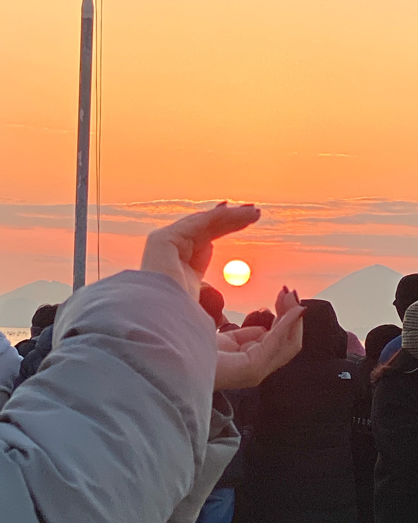 콘텐츠