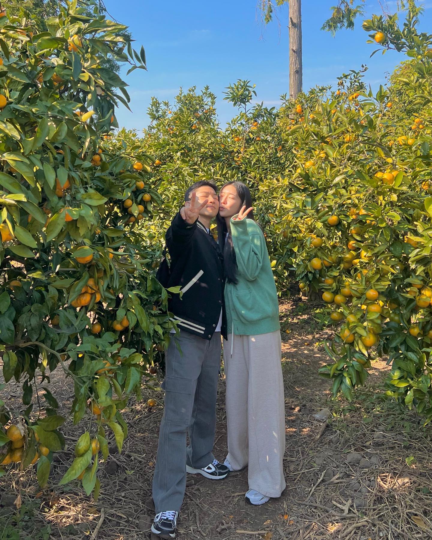 🍁🍊✈️🧡☕️🌈✨