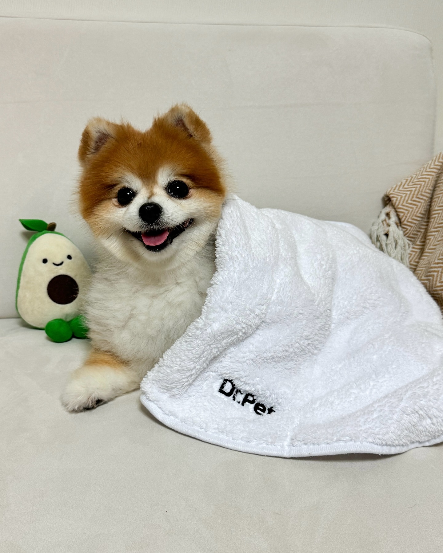 #닥터펫서포터즈4기 

9살 넘은 우리 뭉이 다리를 위해
꾸준히 사용하고 있는 닥터펫 펫스니즈 펫큐어레이 💖

사용한지 1달 정도 되었는데,
예전에 비해서 산책을 더 오래 잘 하는 것 같다 😍😍

뛰뛰 후에도 덜 지치는 것 같구 🥹🤍

펫큐어레이와 함께 오래오래 건강하기 ⭐️
🏷️ mungmungcom 

#유기동물예방캠페인 #유기동물입양 #유기동물찾아주세요 #닥터펫 #펫큐어레이 #펫스니즈 #사지말고입양하세요 #펫스타트업 #반려동물스타트업 #동물용의료기기 #동물용의약품 #닥터펫과함께유기동물찾아요
#닥터펫펫큐어레이 #강아지적외선조사기 #강아지근적외선조사기 #적외선조사기 #강아지조사기 #강아지슬개골탈구 #고양이관절 #강아지디스크 #고양이디스크 #강아지피부병 #고양이피부병 #서포터즈 #닥터펫카페 #닥유마함 #닥터펫서포터즈