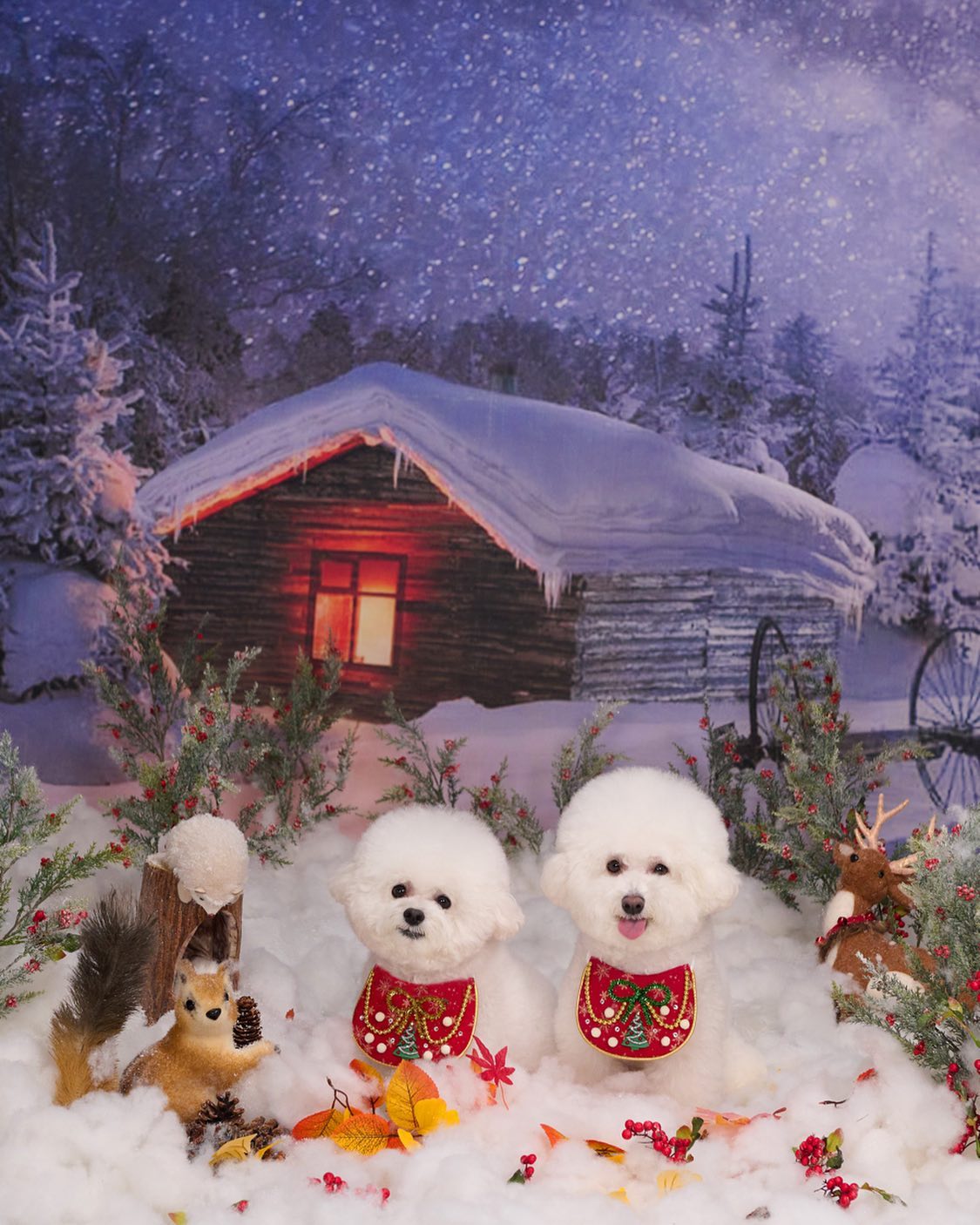 Merry Christmas🎄