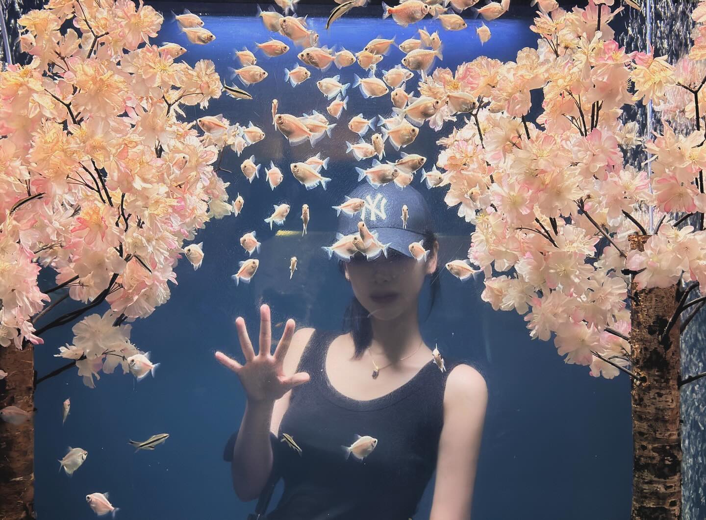 콘텐츠