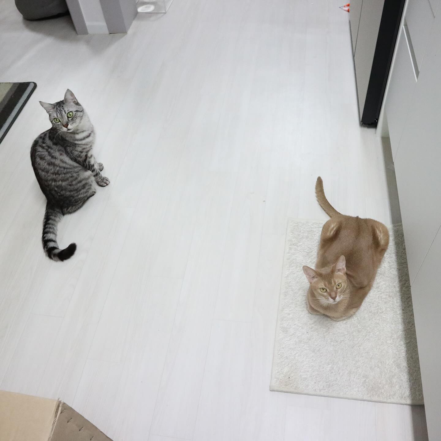 찍기 힘든 한 앵글 투샷