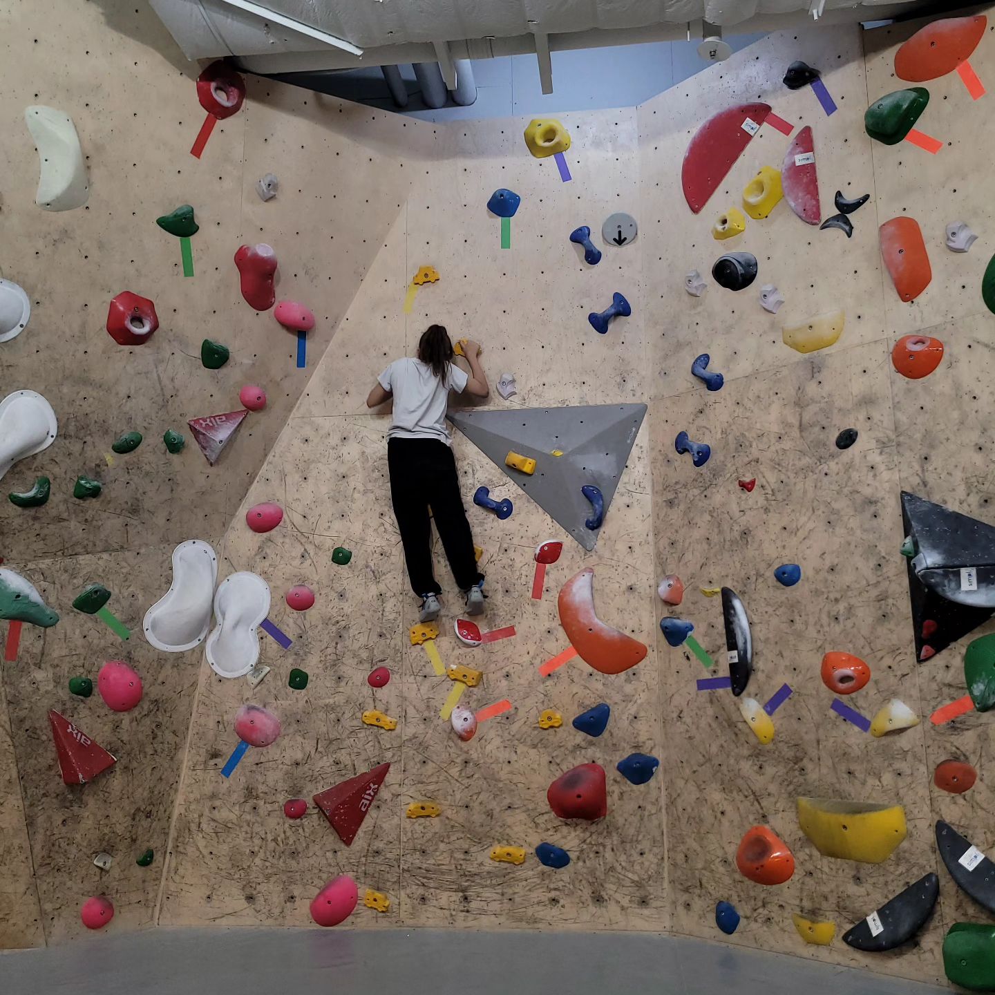 💓

친구랑 클라이밍🧗‍♀️
일찍 갔더니 사람도 없고 
완전 우리 세상🤭
떨어지는거 무섭다면서도 올라가는거 보면
재밌나보다 ㅋㅋ
체력 방전 시키니 배고픈 초딩이들😁

#키즈클라이밍 
#체력바닥날때까지 
#오르고
#떨어지고
#친구랑👭 
#추억만들기 
#이것저것함께
#체험
#슬기로운초등생활👧