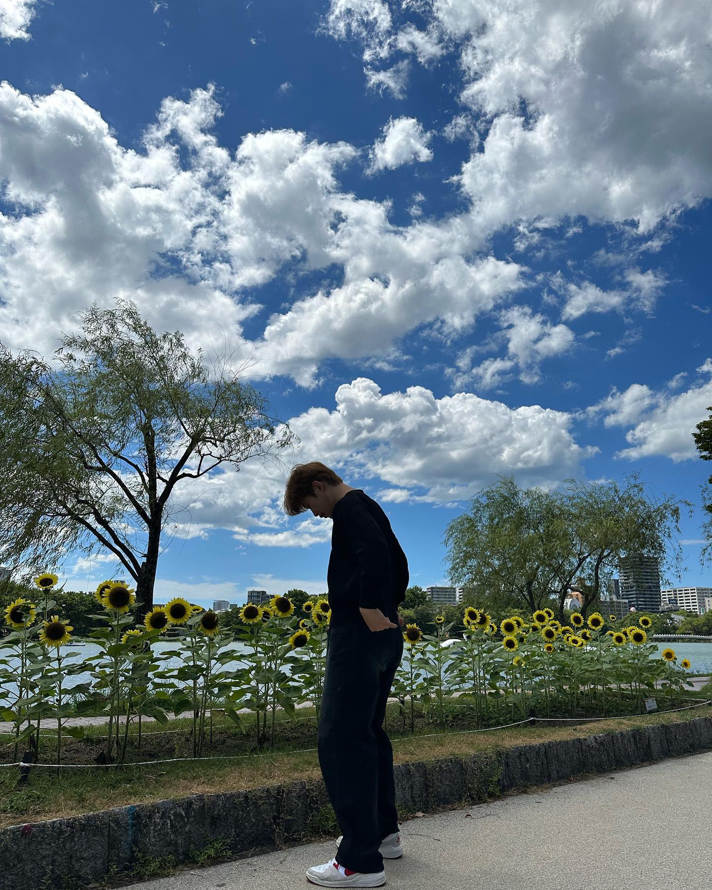 🌻