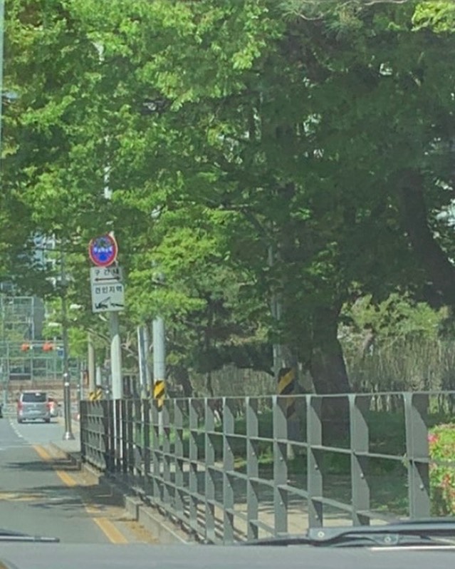 금방 또 여름에 다다르겠지