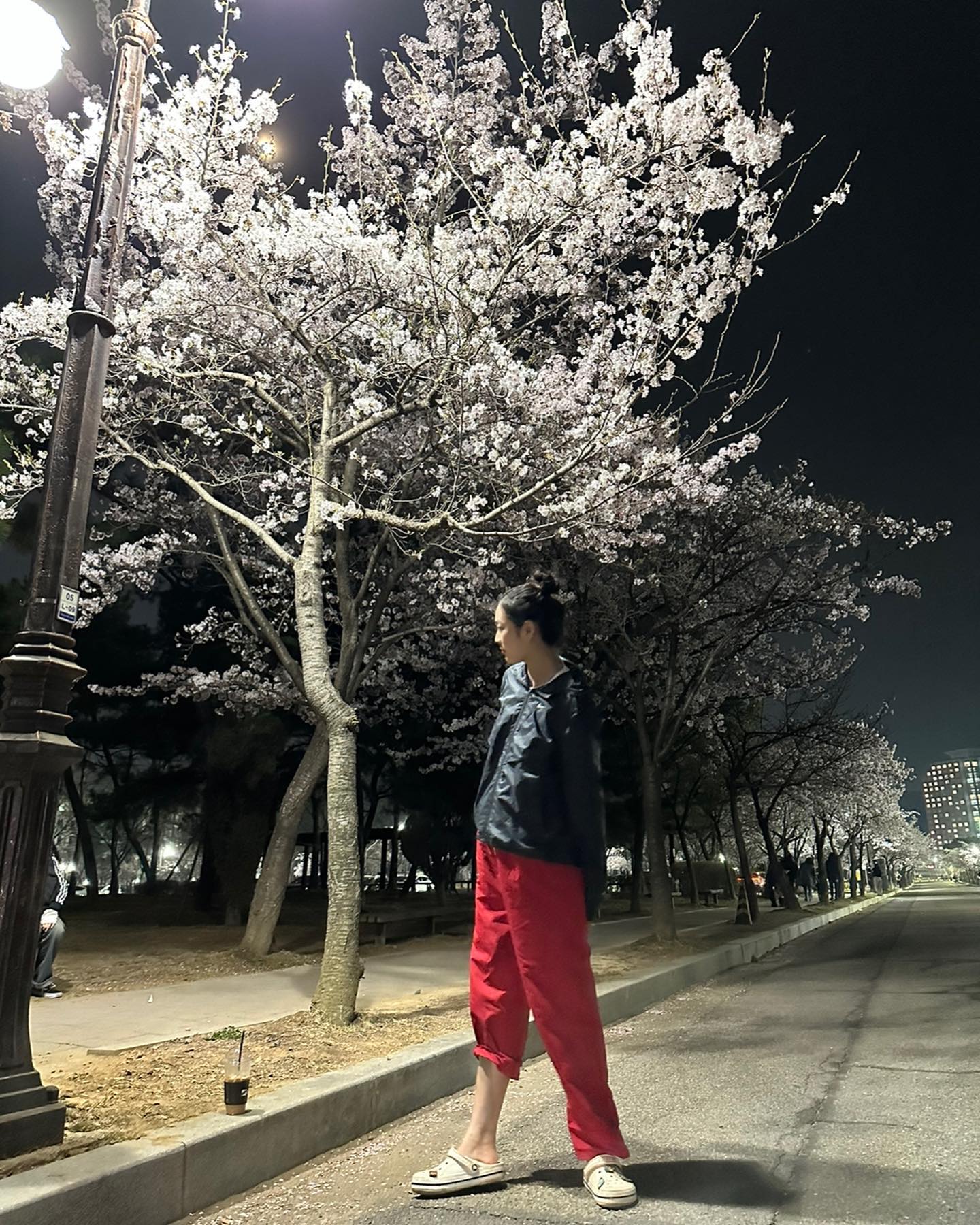 🌸🌺💗❤️