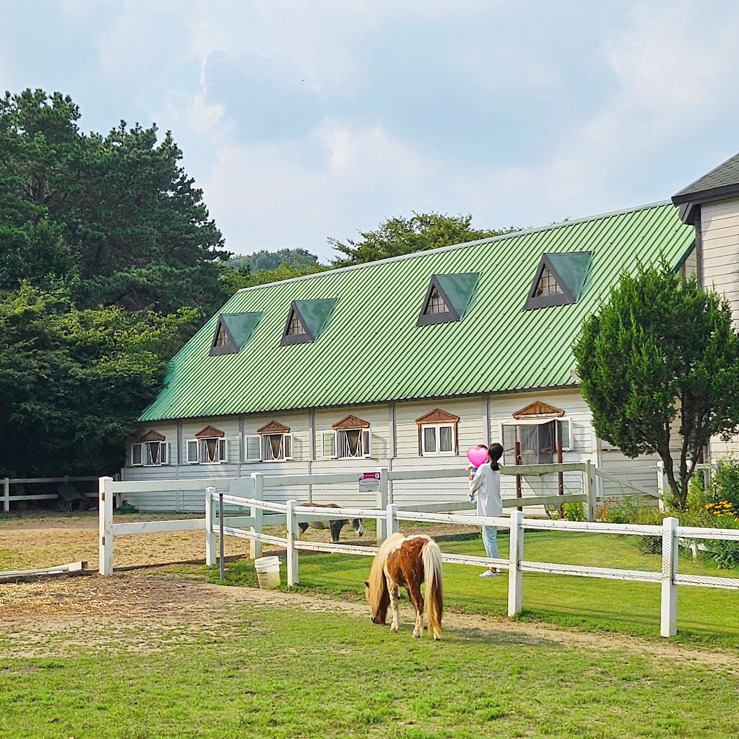 💫

너무 예뻤던 목장🐎
여러 동물들과 만나 인사할 수 있어 좋았던 곳

열매는 이 날도 역시, 
🧒🏻집에 가기 아쉬워. 다음에 또 오자
라고 했다

집에 가기 아쉬워하면 나도 아쉽지만 동시에 장소 선정이 좋았군 싶어 뿌듯하다 ( ⁎ᵕᴗᵕ⁎ )
이제 조금 선선해졌으니 곧 또 가볼까!

.
.

#이열매👶🏻 #이새싹🌱 
#35개월의열매 #12개월의새싹 
#가족나들이