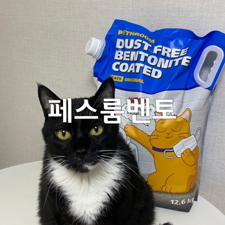 [페스룸] 페스룸벤토 응고력 좋은 페스룸모래