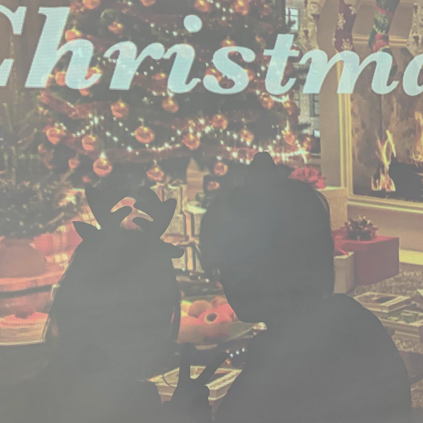 동혁이랑 조금은 뜻깊었던 크리스마스🎄☃️
