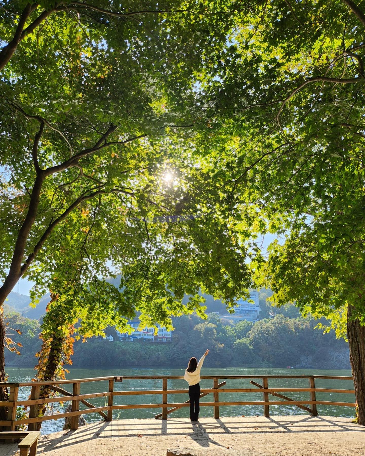 남이섬에 가을🍂