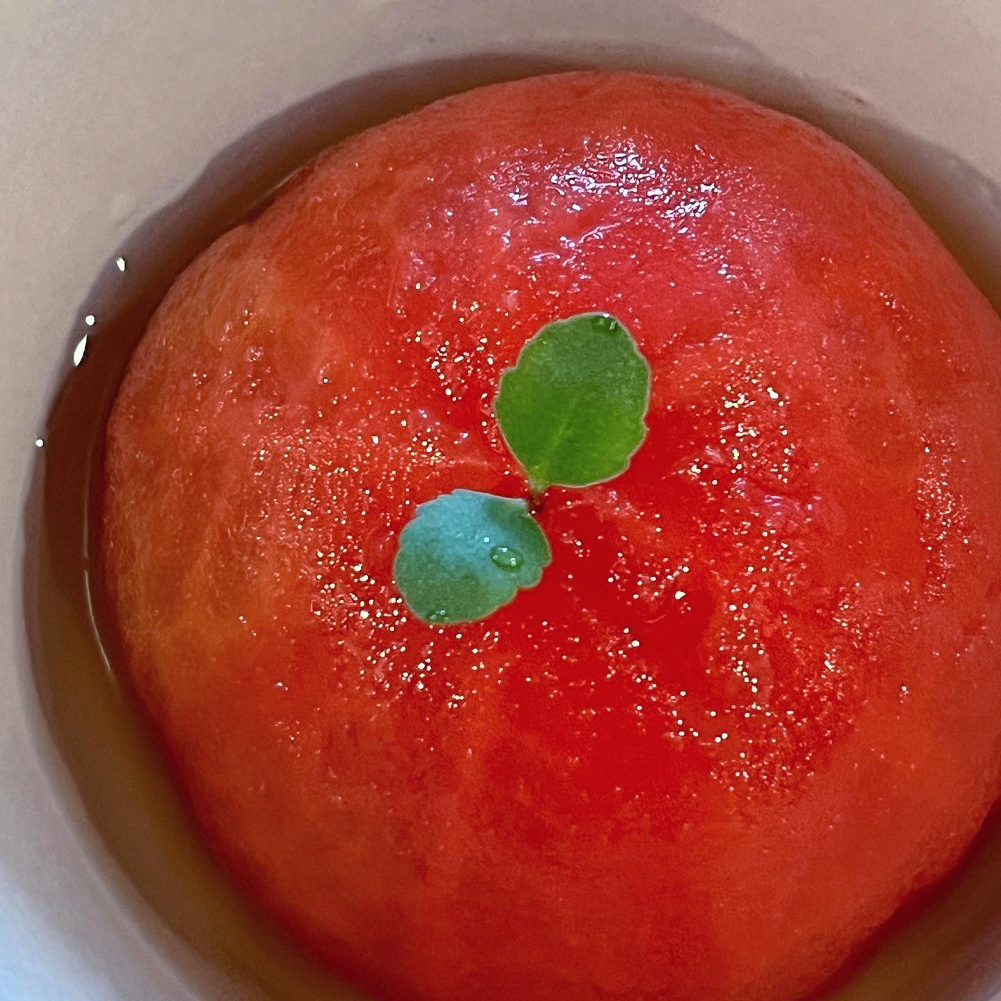 내 여름 간식 #토마토유자절임 🍅
작년 이맘때는 엄청 바빴는데 올해는 노느라 바쁜 것 빼고 
집에서 이런거나 만들어 먹으면서 여유 부리는 중

습한 거, 비오는 거 다 싫어해서 
그거 다 있는 여름 엄청 싫어하는데 
3일 내내 비와도 아 여름이 오려나보다 
좋아하는 과일 먹을 수 있겠네 
작년에 사고 몇 번 못 입은 원피스도 올핸 실컷 입어야지 
하며 행복하게 창 밖 보고있는게ㅋㅋ
요 근래 몇년 중 마음이 제일 편한가 봄ㅋㅋㅋㅋ
.
.
#🍅#유자토마토