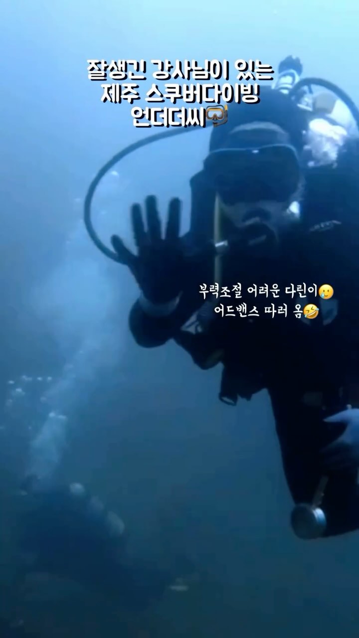 콘텐츠
