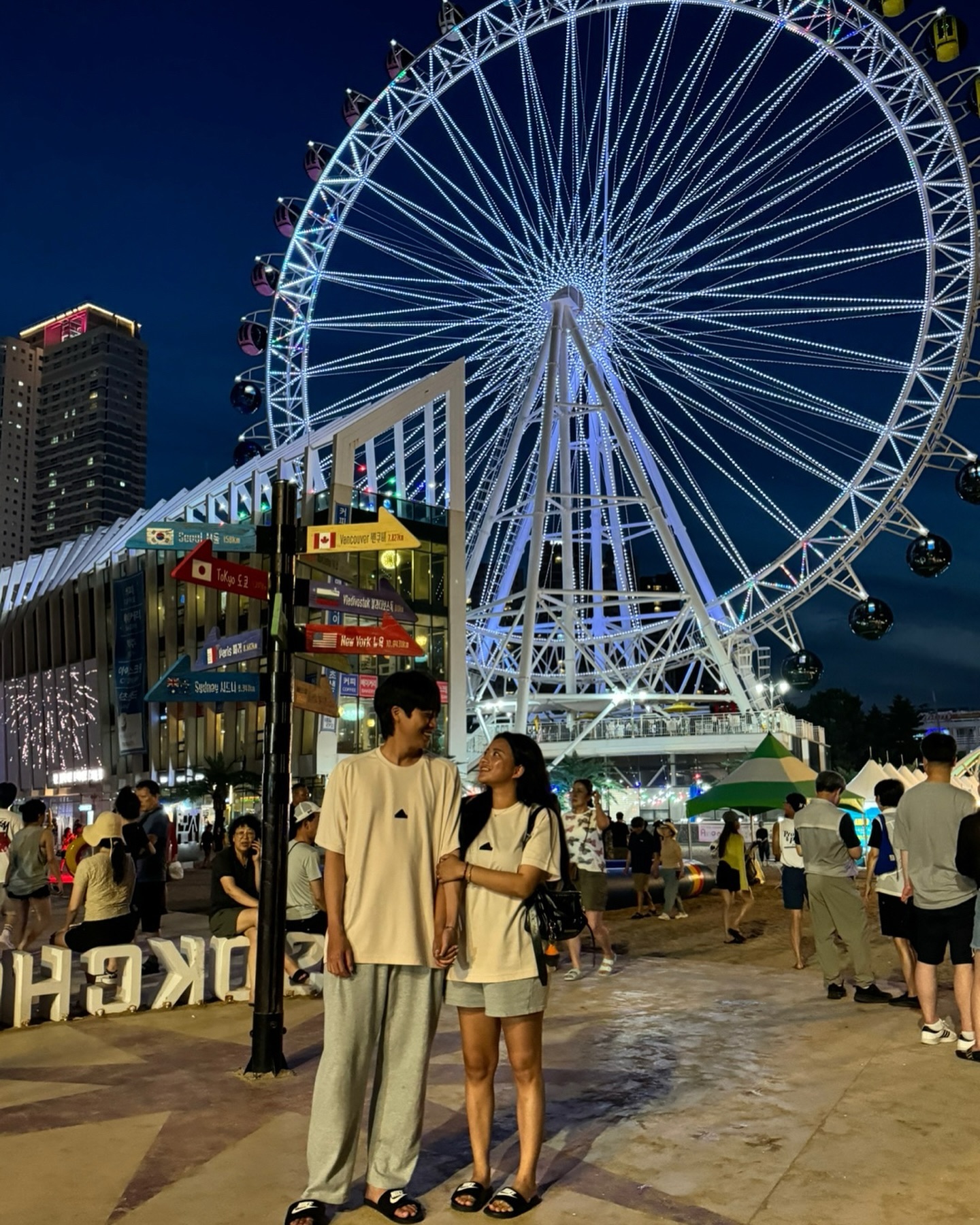 🎡
