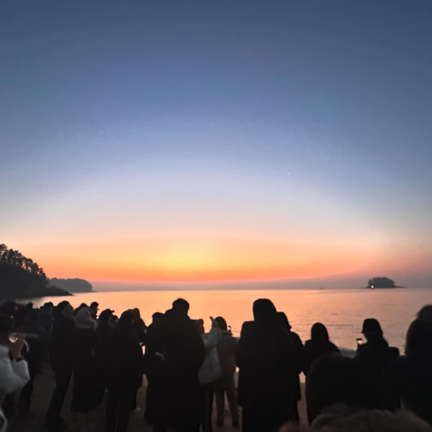 2024 - 잘 부탁해😋