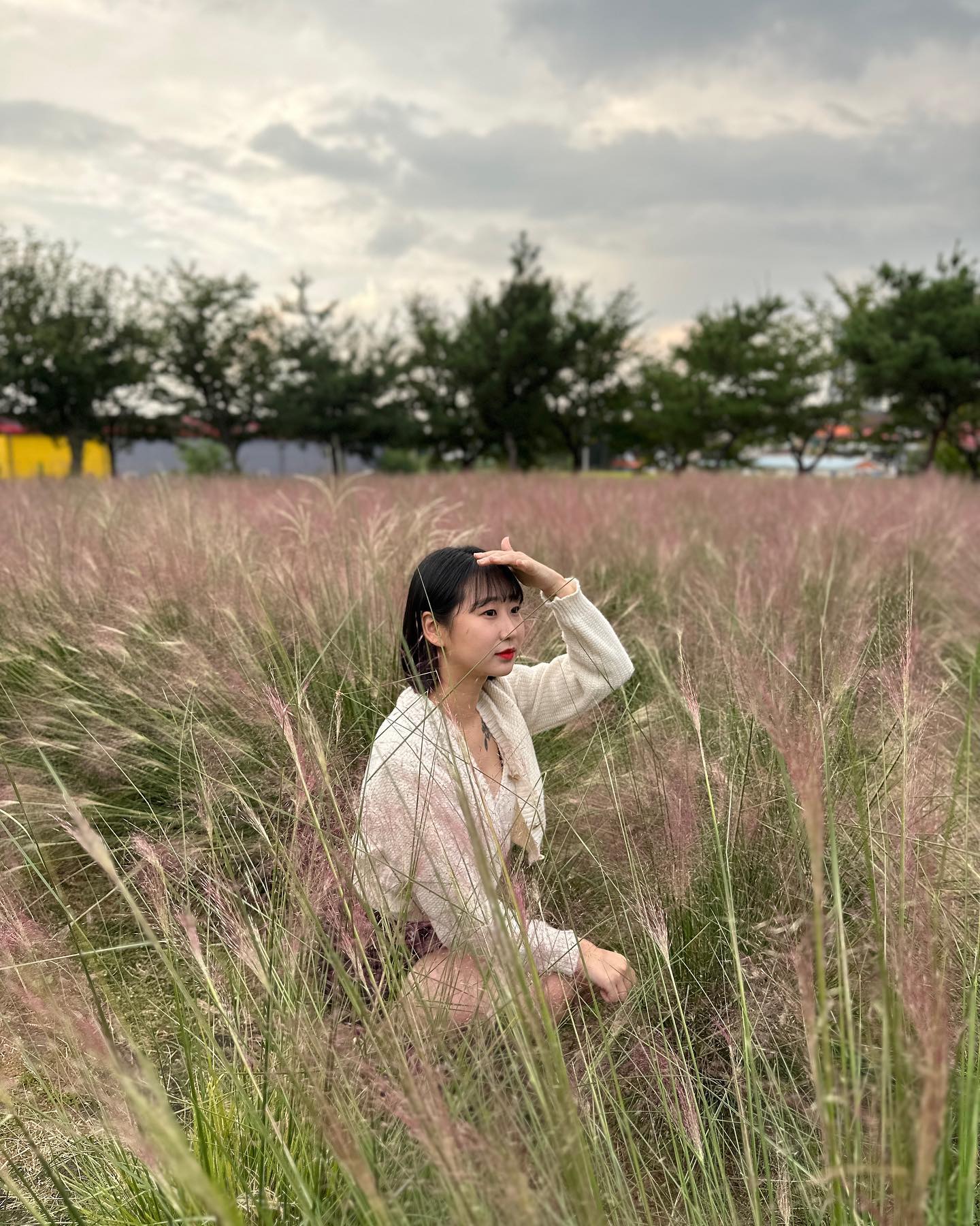 콘텐츠