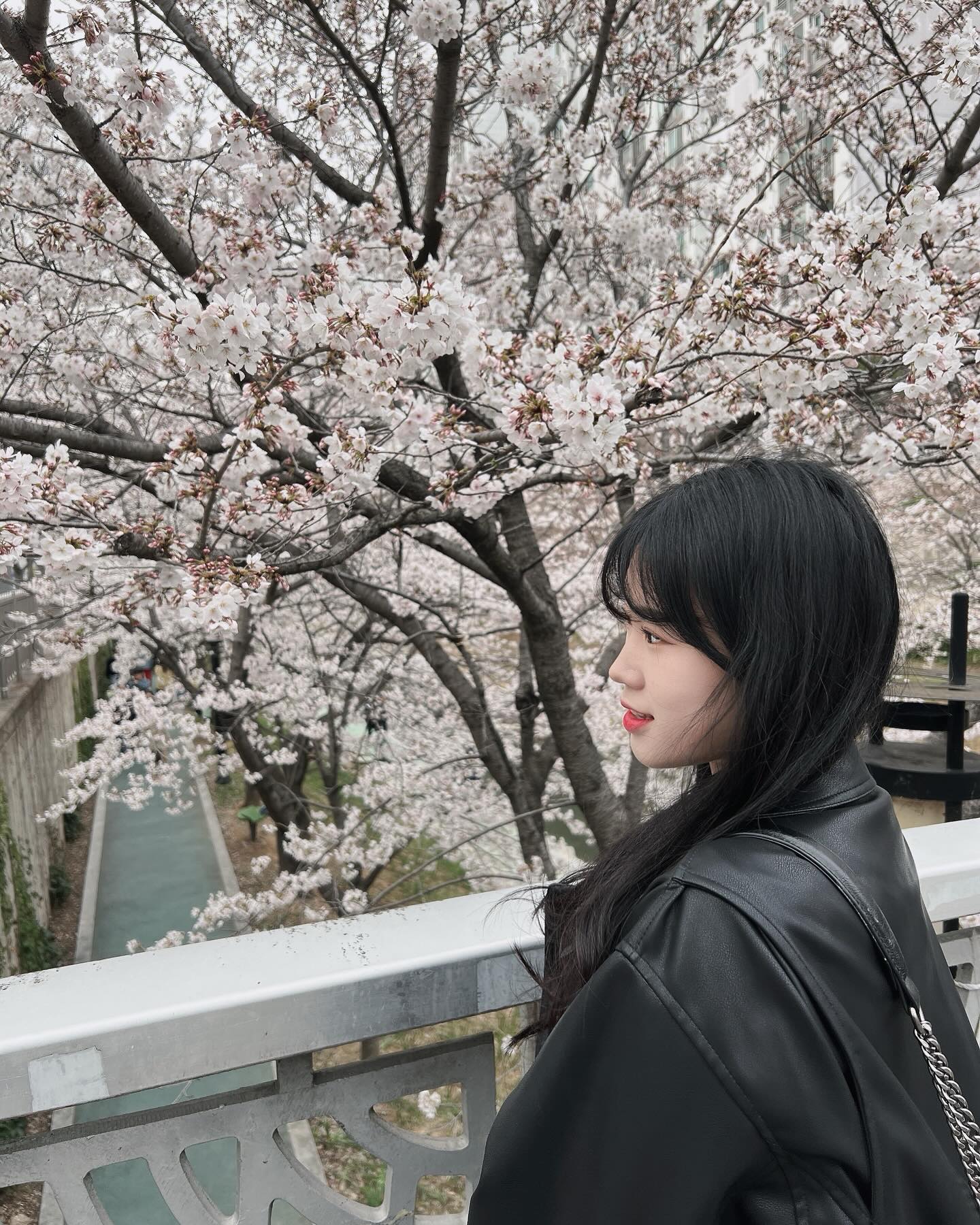 모가 꽃이게~🌸
