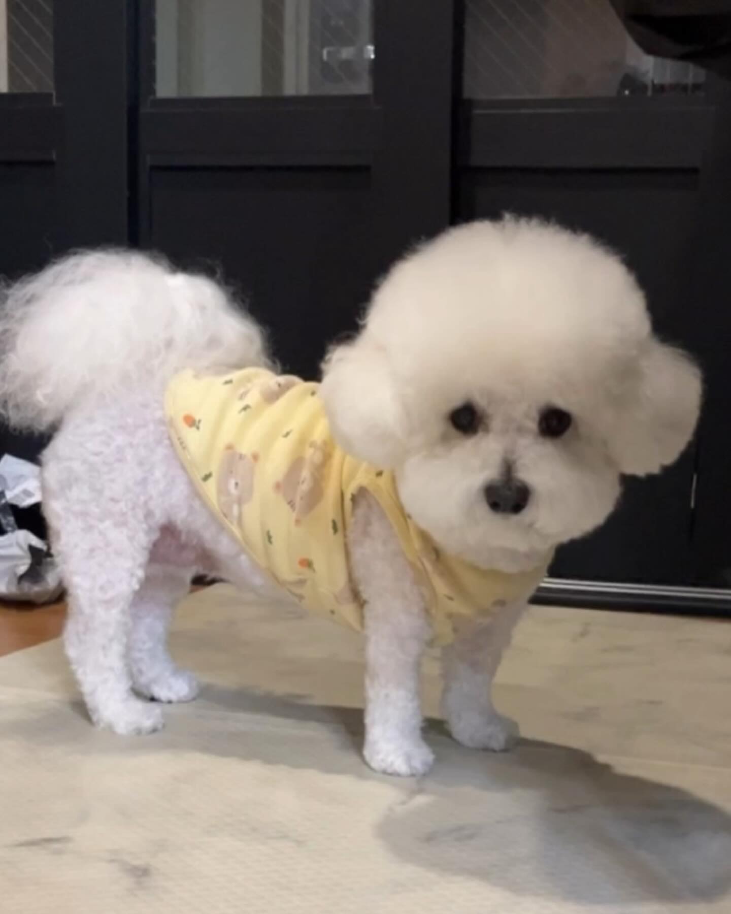 얘두라 나 빡빡 밀렸오.