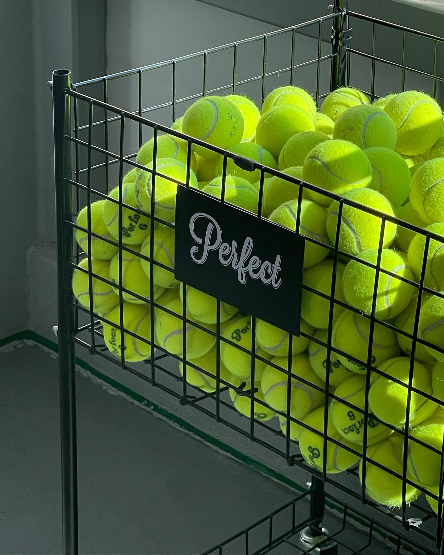 새로운 취미 만들기🎾 올 겨울 열심히 배워두고 내년 여름에는 달라진 모습을 보여주지