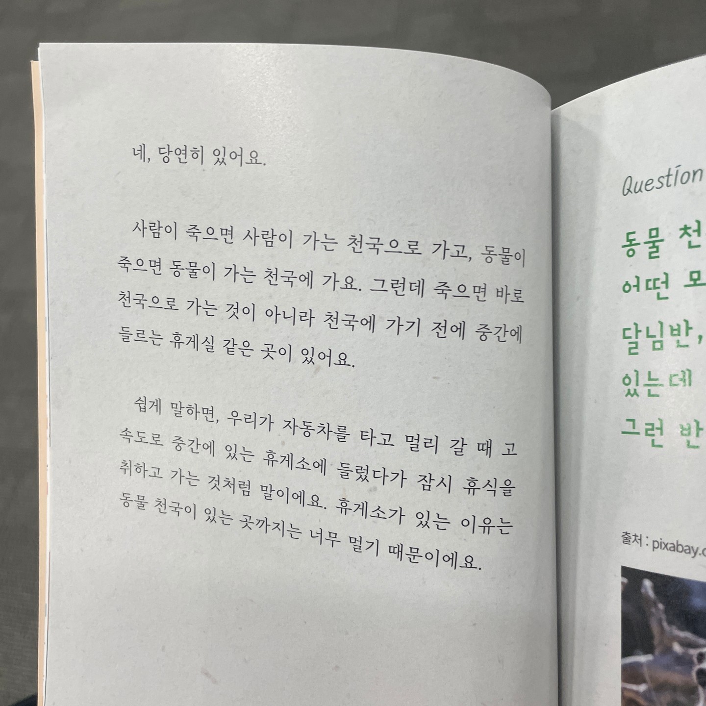 우리 강아지 이제 아프지않기를 아픈기억 다 잊고 행복했던 기억만 가지고 천국가서 하고싶은거 다 하고 거기서도 누구보다 예쁨 많이 받아 예쁜 우리 강아지. 사랑해