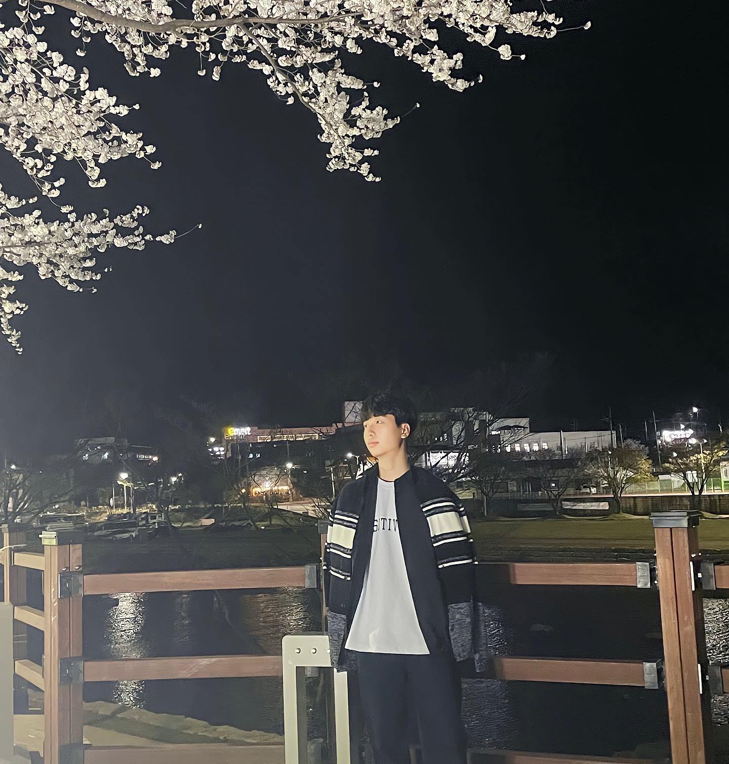 벚꽃피면 나랑 같이 벚꽃보러갈래?🌸