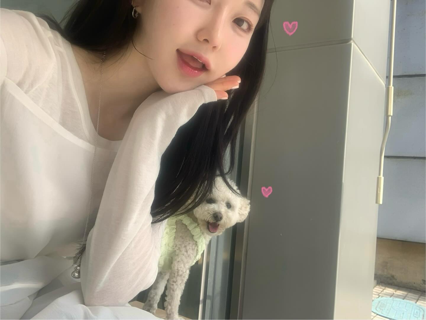 고냉이랑 나 ~~🫸🏻🩷🫷🏻