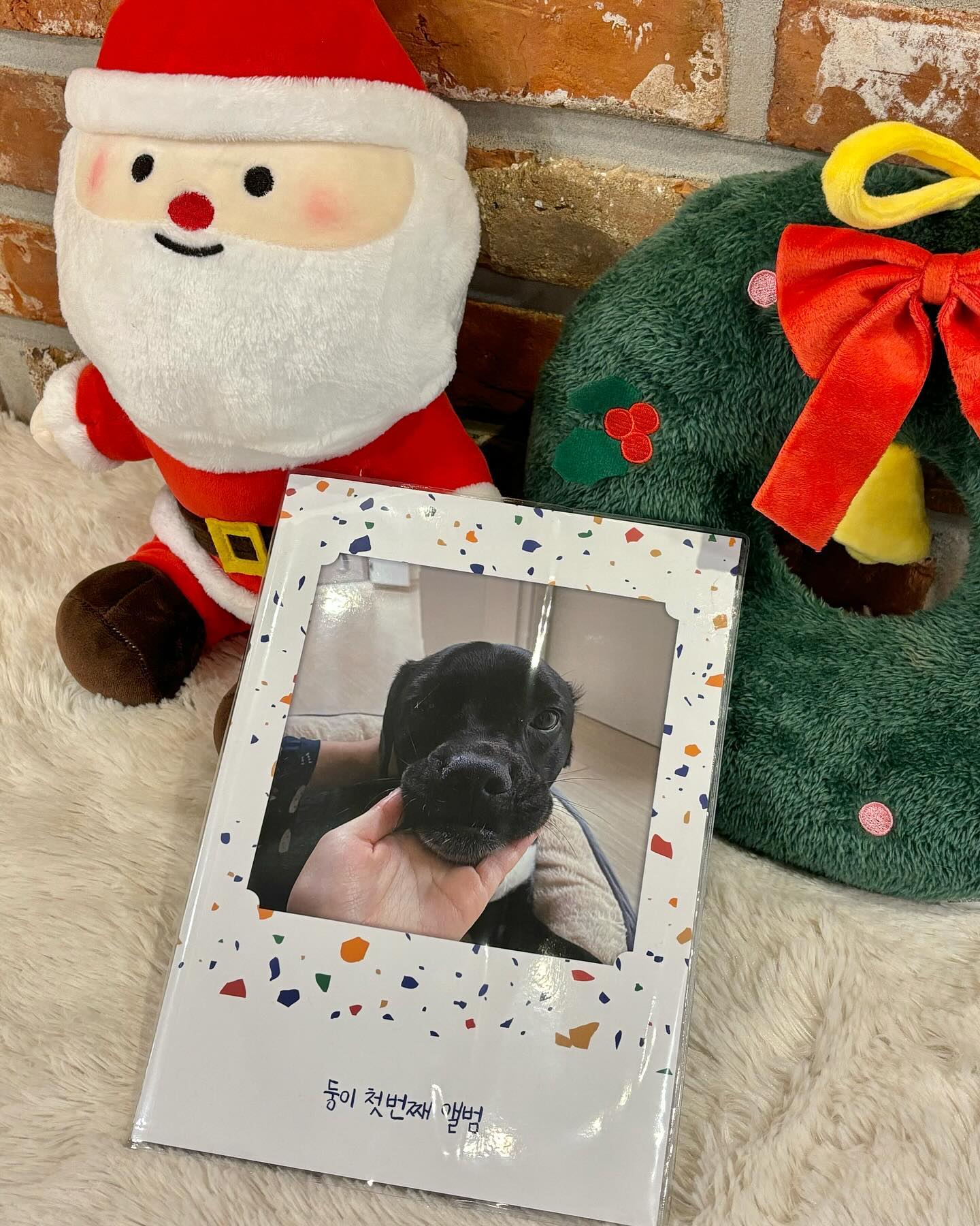#협찬 X uprint.co.kr bookmake.co.kr 
우리 둥이 순간순간을 기록한 첫번째 앨범 🎅🏻♥️

복잡한 과정 없이 카카오톡 사진을 보내기만 하면
포토북을 제작해서 보내줍니다 ! 
연말에는 쌓여있는 올해 찍은 소중한 사진들로
포토북으로 만들어 추억해보세요 ~
.
.
.
#북메이크 #유프린트 #사진털기 #포토북 #포토북만들기 #포토북제작 #셀프포토북 #포토북추천 #앨범정리 #앨범만들기 #반려동물앨범 #반려동물굿즈