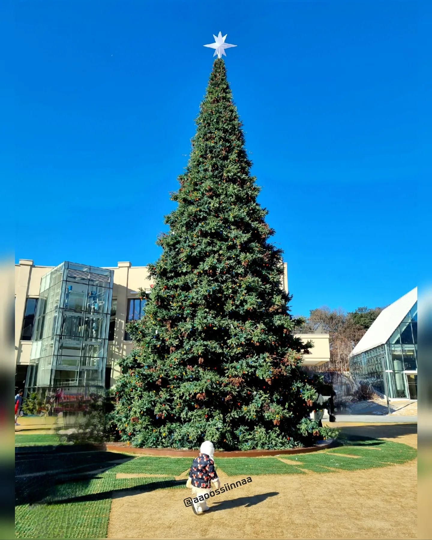 💛

🌲 

너어어어무 추웠던 날이지만
그만큼 공기도 좋고 트리도 참 예뻤다.

날이 따뜻해지니...
미세먼지 진짜 아오...🤬 
⠀
⠀⠀
⠀⠀
⠀⠀
⠀
#의왕타임빌라스 #의왕 #타임빌라스 #아울렛 #주말나들이 #아기랑갈만한곳 #겨울실내데이트 #아기스타그램 #트리 #도장깨기
