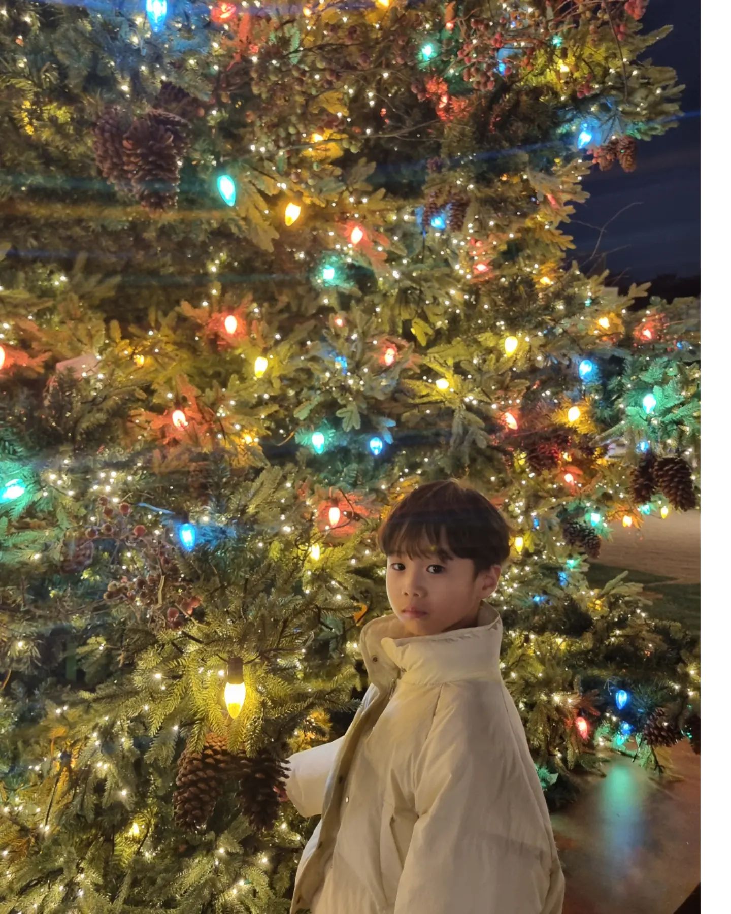 🎄

날씨 좋던 날
대왕트리 보러

#타임빌라스