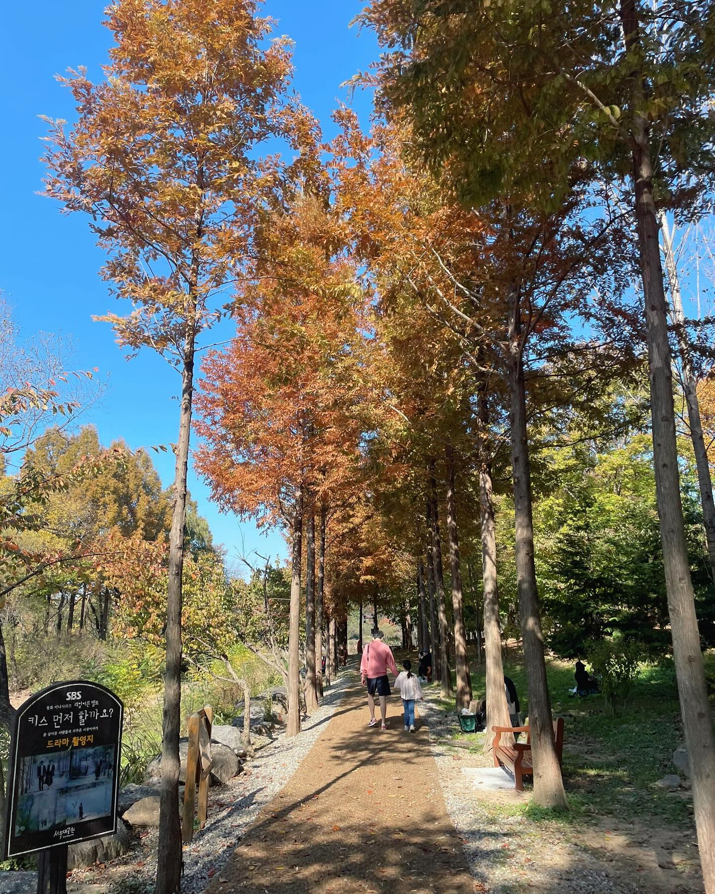 단풍놀이🍁