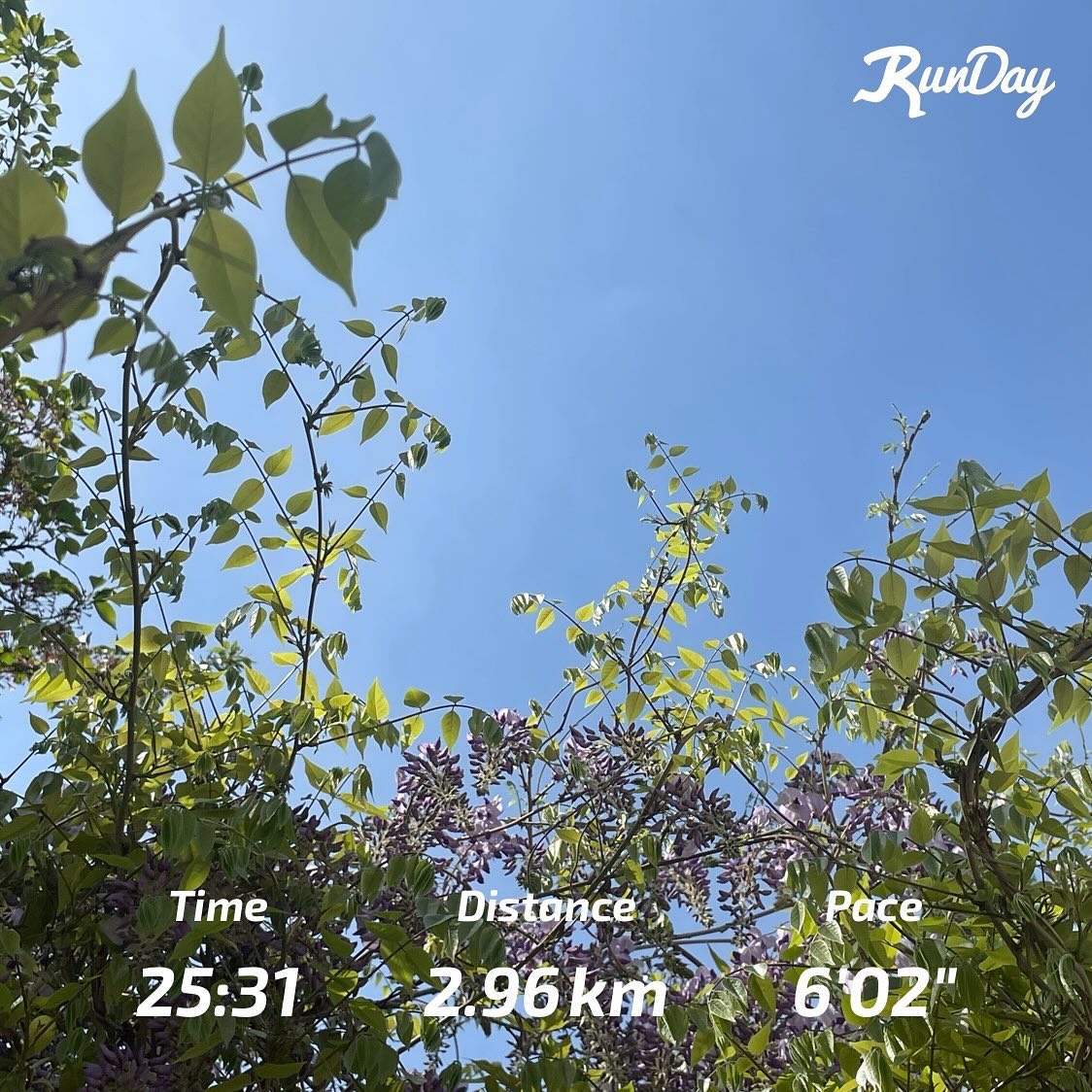주말런닝 넘 매력있고만😌
벌써 여름이라 기대된다

-

#런데이 #나이키런 #러닝 #running #런린이 #런스타그램 #runstagram #runday #일상 #운동스타그램 #취미생활 #justdoit #오운완 #오런완 #주말달리기 #주말러닝 #아침달리기 #아침러닝