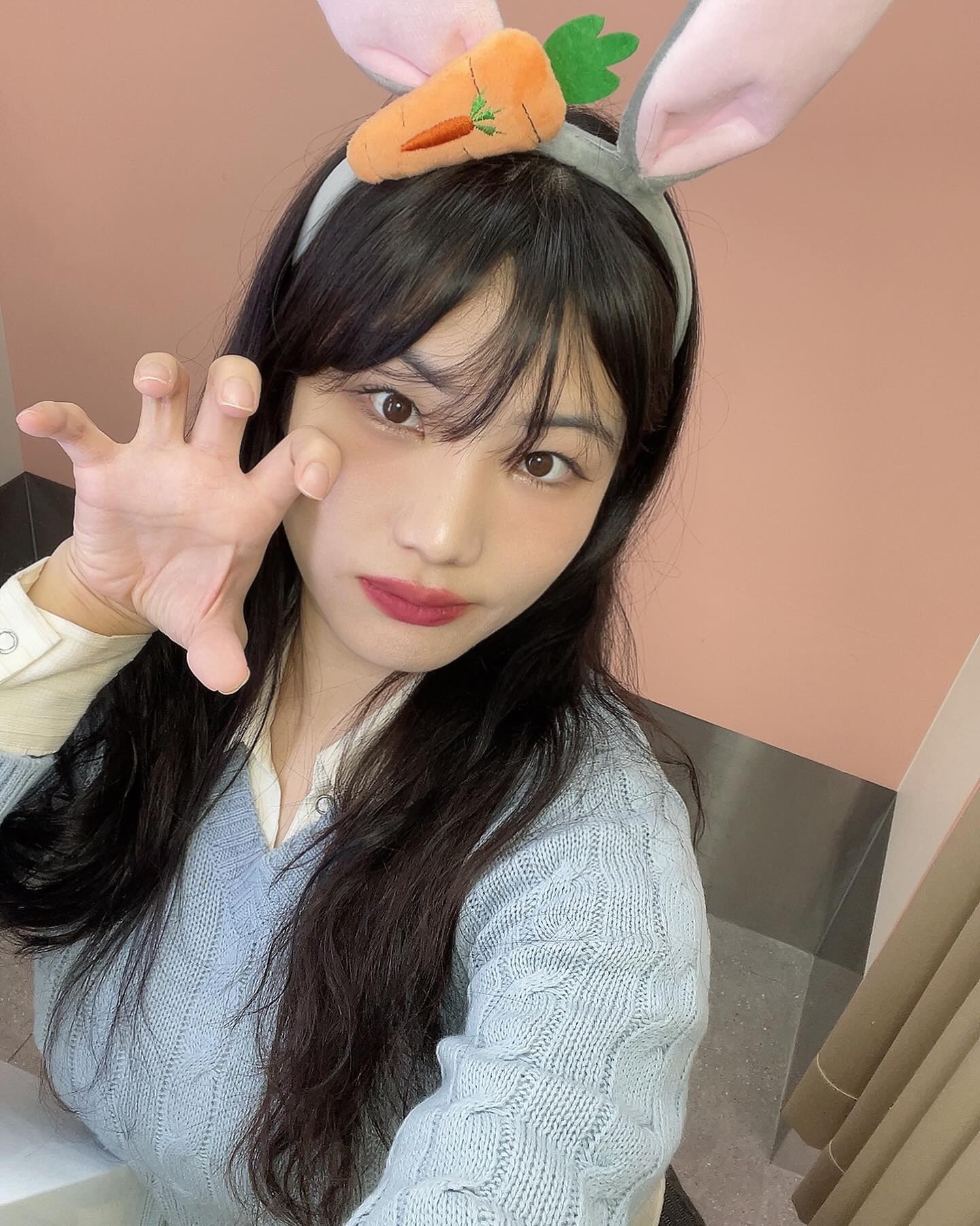 🐰인척 하는 🦊