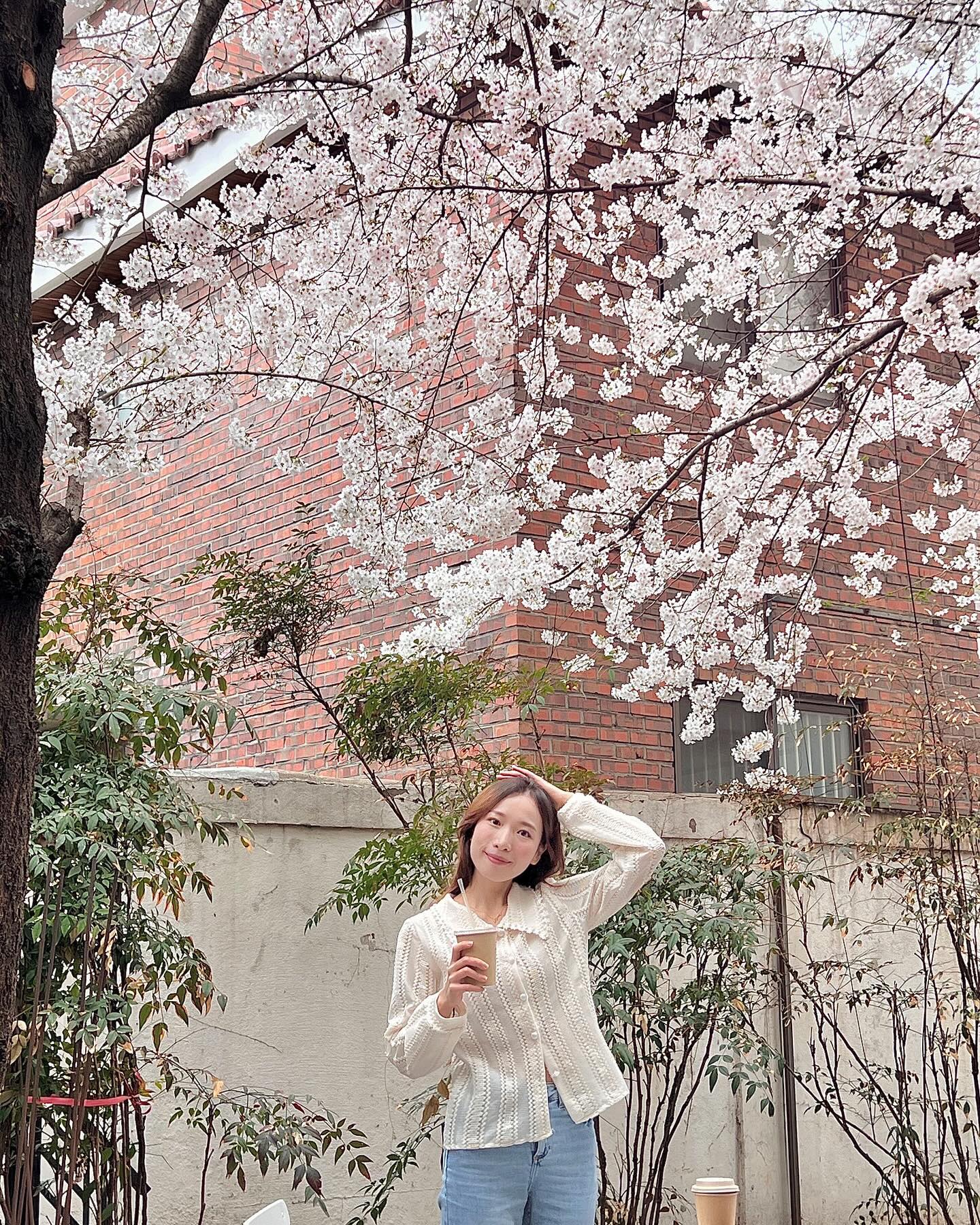 [실시간 합정 카페] 벚꽃비 맞으면서 아아 마실 사람..? 
이번주에 꼭 가주세요..🌸 (저장/공유)

4/3일에 방문한 합정은 진짜 ..황홀한 풍경이었어요🥹
벚꽃이..세상에 세상에!!! 합정이 이런 곳이었숴..???

너무 좋았어서 어제는 친구랑 오늘은 엄마랑 또 간답니다? 
같이 갈 친구에게 당장 공유해주세요 :-)

@@야 내일이다!! 사진 건지러 가자!

🌸놀랍게도.. 핫한 평일 오후 두시에 찍은 사진..👀 
사진 독샷 꿀팁은 하단에 설명 참고🫧

📍그레이랩
서울 마포구 토정로3길16
▫️합정역 7번출구 410m
▫️매일 11:00-22:00

📸나름의 꿀팁
👀 사람 없이 잘 나올 수 있었던 팁은!! 가장 안쪽 테이블!!

🌸1층에 앉는다면 가장 안쪽 테이블이 벚꽃이 전체적으로
크게 나와요! 

🌸입구에서 다들 사진 먼저 찍던데 ..
사진 찍지 말구 우선 테이블사수!!
🌸 역시 벚꽃 사진엔 화이트..가 짱이더라,,(개인적의견🙄)