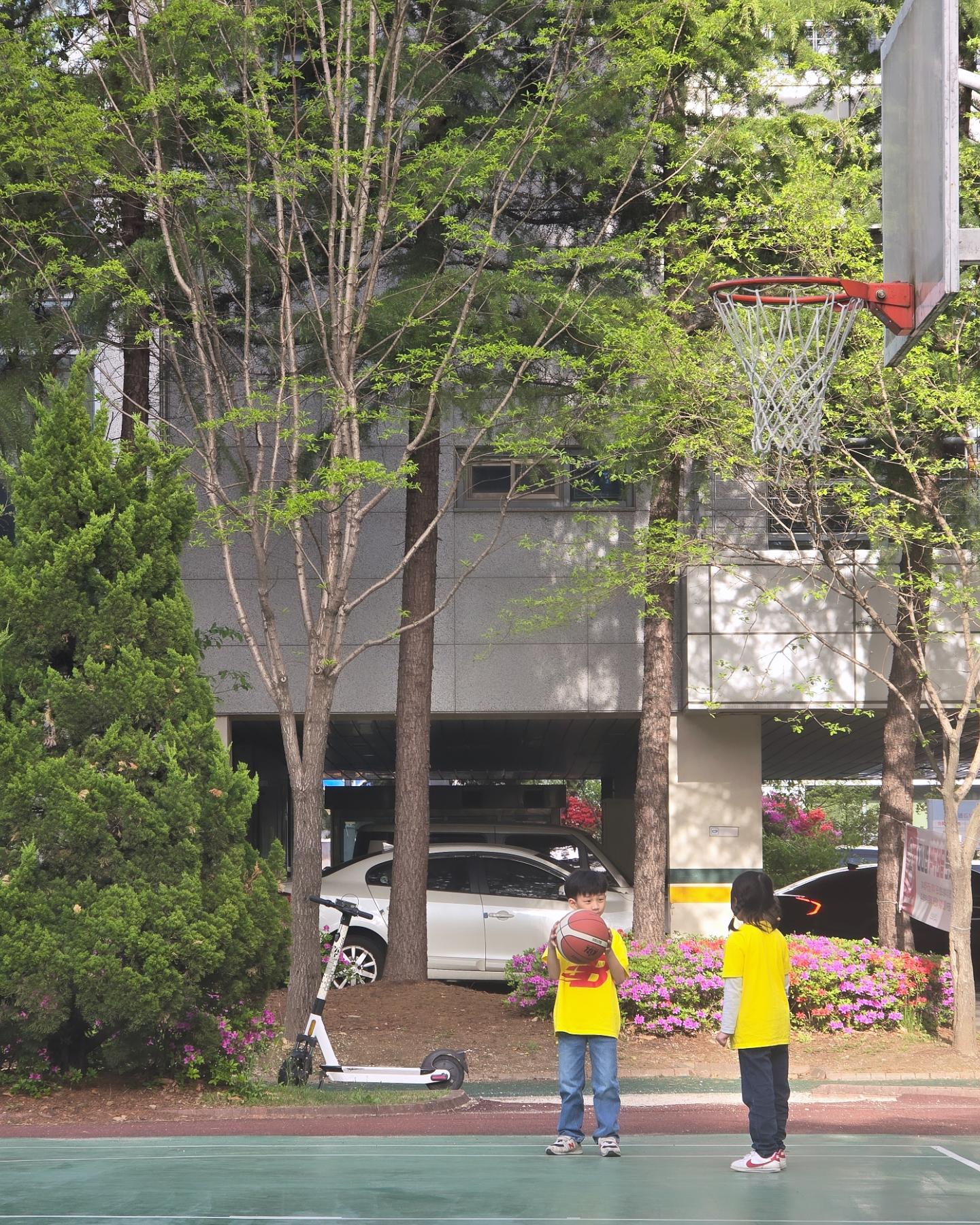 오늘은 공원서 만난 반친구에게
제자리 드리블을 보여주며
농구 잘하는 찌니가 되었다

형아랑 같이 놀면서 배운게(?) 다인데
잘하는거 생겼다고 좋아한다

후~ 

#아들일상 #막내하는짓보면잼나 #막내 #아들