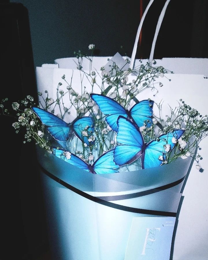 لسه محشورين في التريند🤐💙💙💙💙🦋
.
.
.
.
.
.
.
.
.
.
.
#trend #flowers #flower #gifts #surprise #bouquets #gerb #trendy #decoration #butterfly #giftideas #gift #beutiful