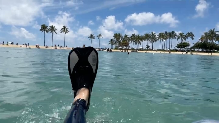 #힐튼라군 물놀이🏊 여유롭고 평화로운 #와이키키비치 🏖️ 아름다운 선셋🌅 힐튼 빌리지는 내가 딱 좋아하는 잘 정돈된 자연이라, 그림같이 예쁜데 물놀이 하고 노느라 이것밖에 못찍었지만 추억기록용 피드.!

#힐튼하와이 #하와이#힐튼하와이안빌리지 #힐튼 #hiltonhwaiianvillage