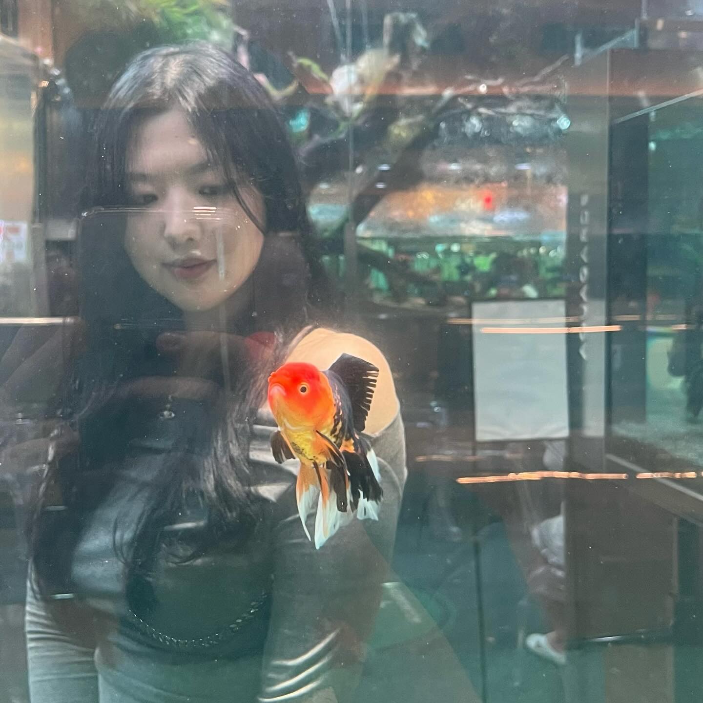 🐠౨ৎ ˖ ࣪⊹ 🛼🐟