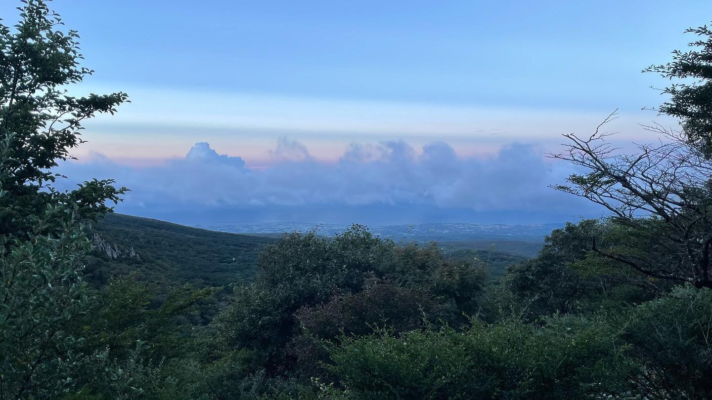잊지못할 한라산 모음🏔️
이번 제주에서 가장 뿌듯했던 

#영실코스 
#담엔백록담까지