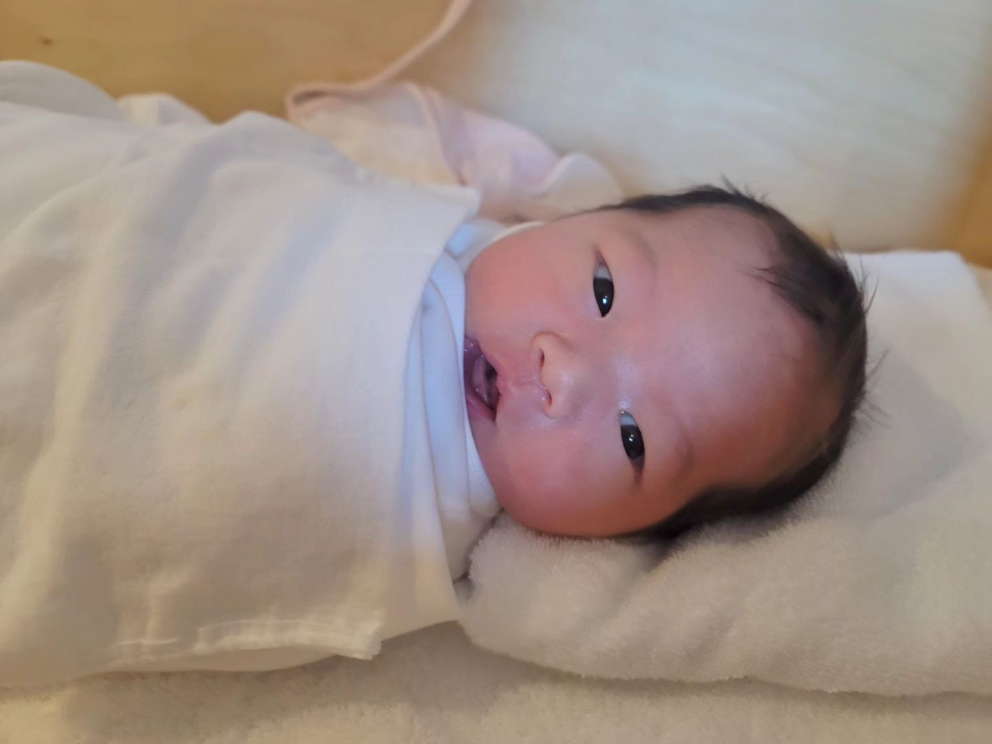 서율🩷
또렷해지는 눈ㅎㅎ
꼬물꼬물 하는데 너무 사랑스럽자낭
사진찍을때마다 카메라도 잘 봐주고
오늘하루도 엄마랑 잘 지내보자♡

#서율🩷#인생6일차#꼬물꼬물#또렷해진눈#방긋#산후조리원#김혜정산후조리원#육아스타그램#흑토끼맘