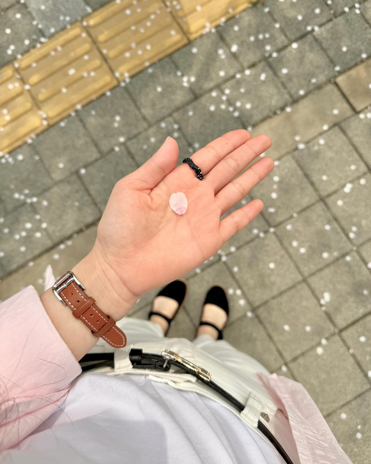 힘겹게 겨울이 지나고 찾아온 봄🌸
앞으로의 일어날 새로운 변화들에 설레인다!

#벚꽃 #소원 #벚꽃축제 #봄 #핑크 #ootd