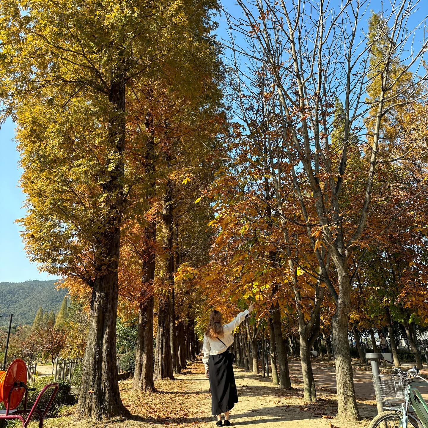 2023.10.30~2023.11.03

어쩌다 전국일주 

#늦은여름휴가 #가족여행

Day 3 경주➡️강릉

📍#경주천년숲정원 

무료 입장에 넓어서 산책하기 좋음

평일 오픈 시간 맞춰서 방문했으나 아무 생각없이 안쪽부터 둘러보다가 포토존 줄 오래걸림 🤣 민폐 단체 관광객 덕분에 시간허비 #할말하않 

Tip 포토존에서 인생샷 건질분들은 입장 하자마자 포토존 찾아가기
외나무 다리는 두군데 있느니 줄 짧은 쪽 추천

📍#경주엑스포 (#솔거미술관 )

평일 낮이라면 솔거미술관 부터 가기 추천
제일 안쪽에 고바위에 위치해 사람이 없어서 한가하게 구경 가능

다음엔 #경주타워 전망대에 올라가서 경주 시내 전망 구경하기

아이가 있다면 #자연사박물관 추천 

📍#경주실탄사격장

특별한 경험을 하길 원한다면 보문단지에 위치한 사격장 추천 드린다(실제 사격은 드라마와 다름 주의😅)

📍#더블티다이닝 

생일 기념으로 방문한 레스토랑(자세한건 블로그에)

📍#썬크루즈호텔(#정동진조각공원)

정동진 조각공원이 있는 일출이 끝내 주는 호텔

11월 비수기로 가격이 부담되지 않아서 좋았음

또 갈 의향 있음(아빠 엄마 만족도👍🏻)