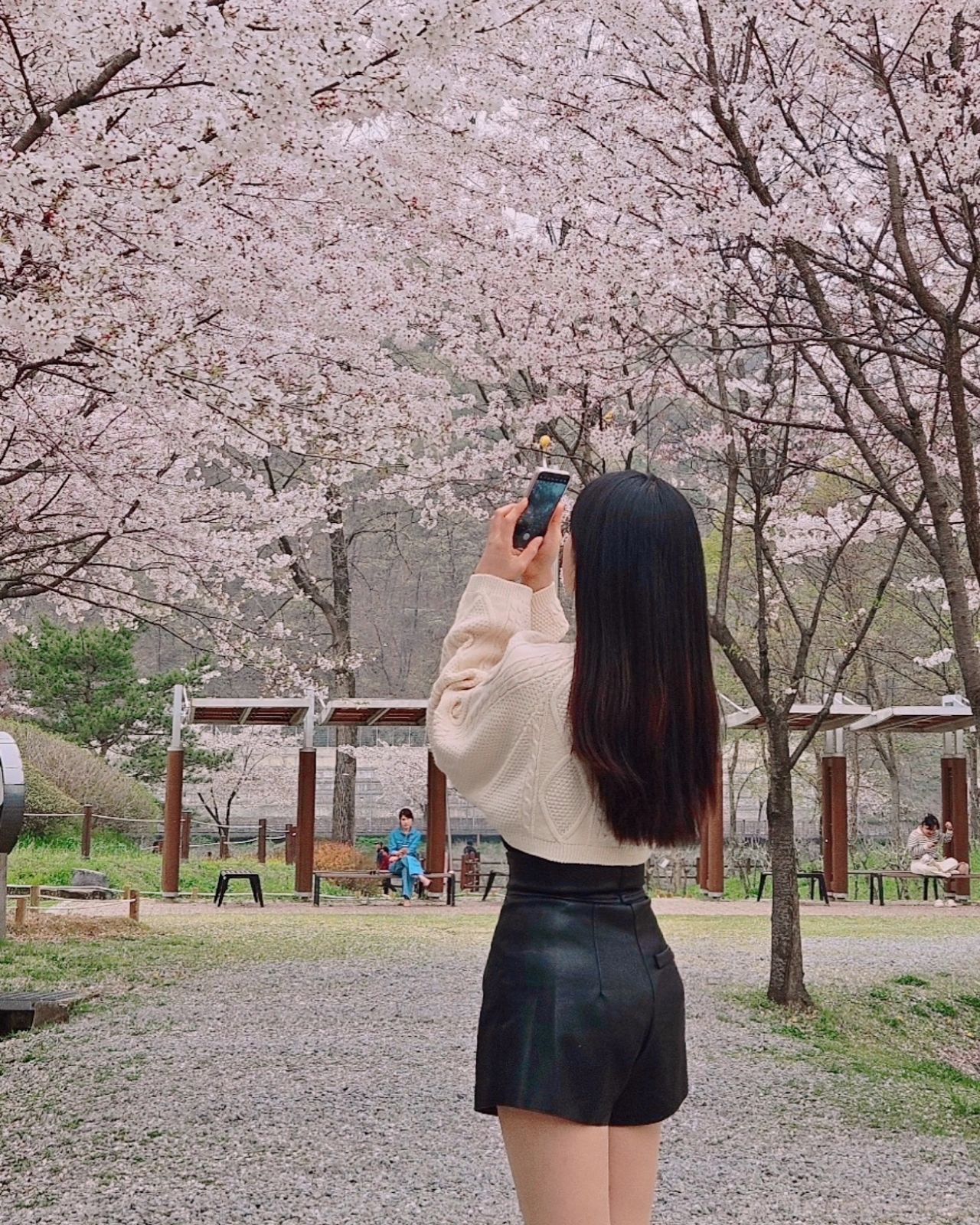 🌸🌸🌸🌸