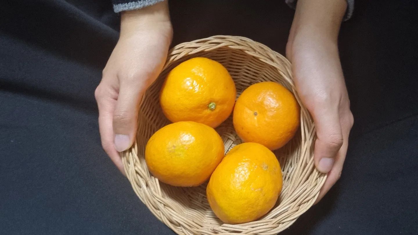 내가 만든 라탄바구니로 찍어봄
느낌이 있어 마음에 든다.