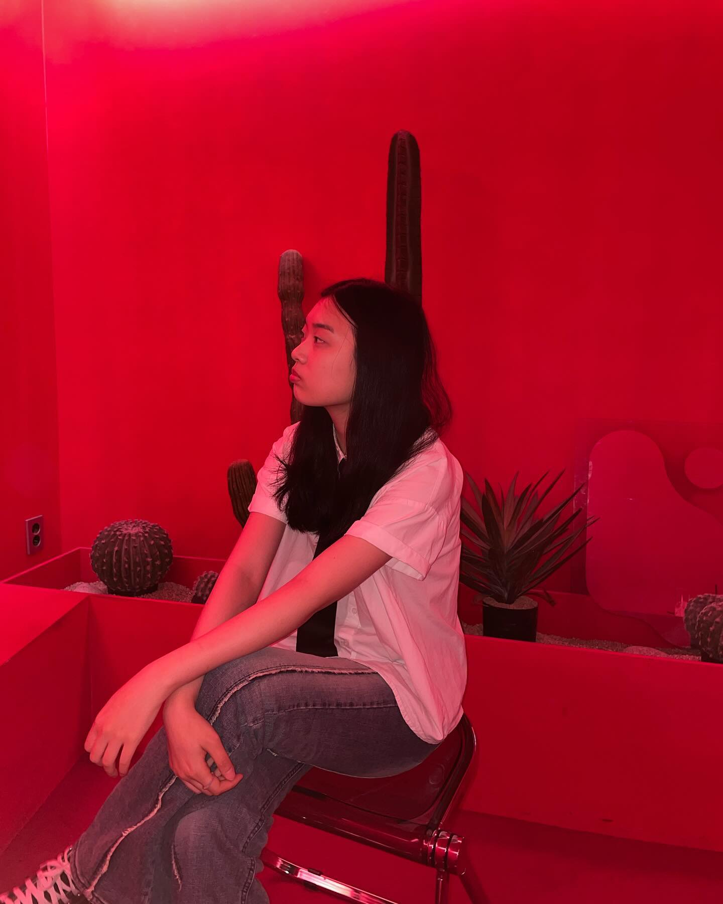 🌵