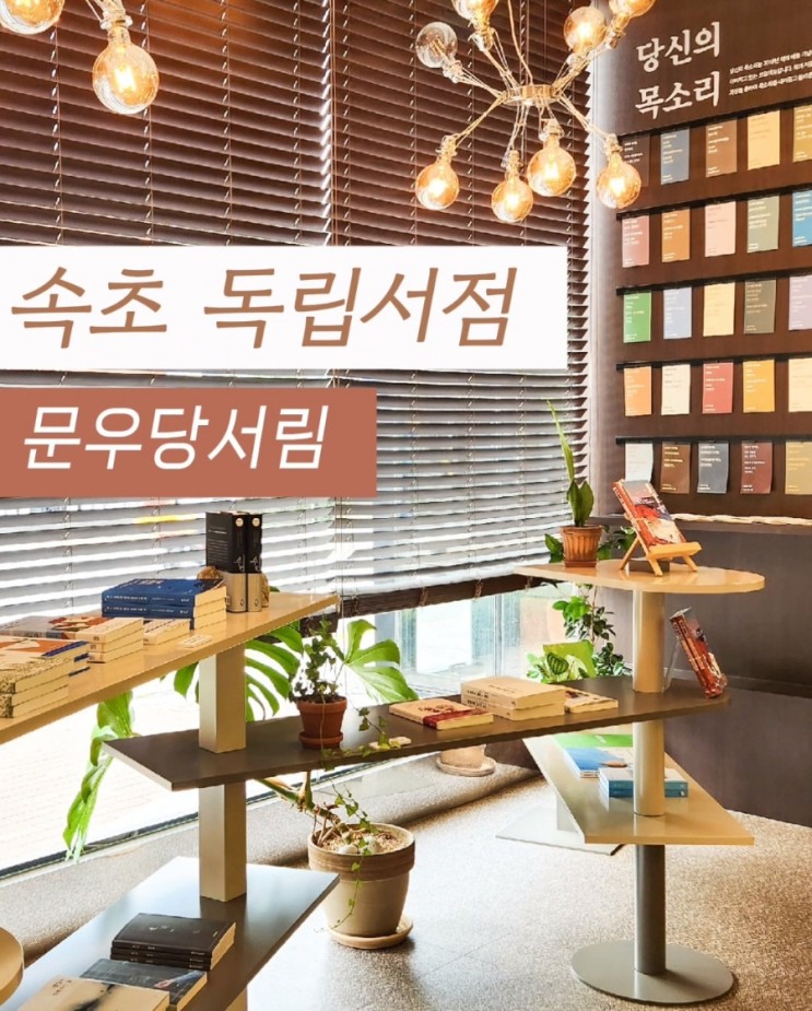 [속초 가볼만한한곳] 속초 백년가게 독립서점 문우당서림