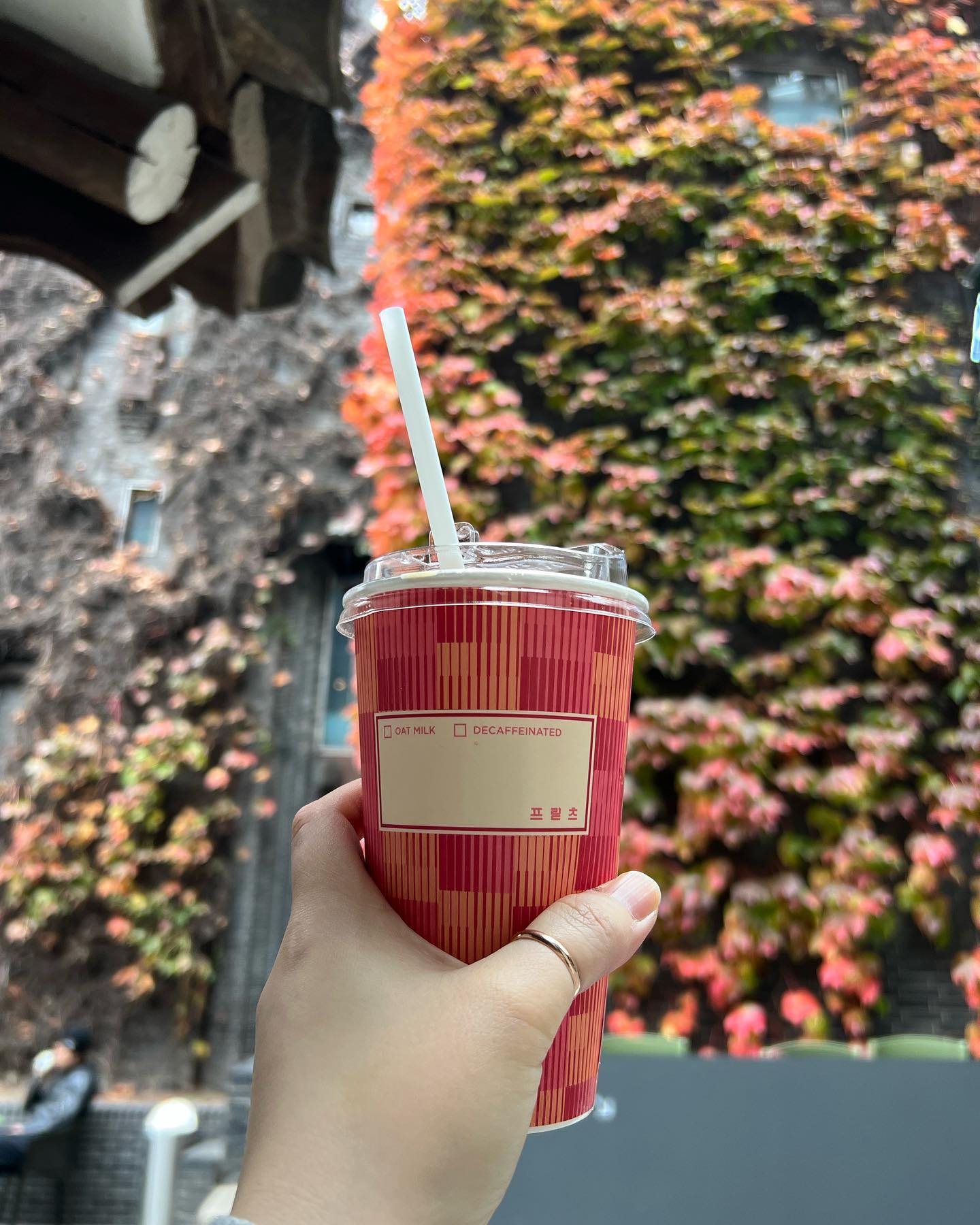점심 먹고 커피랑 빵이랑 한 상 차림 😅 #단순간식 #프릳츠 #lunch #cafe #coffee #kaffee