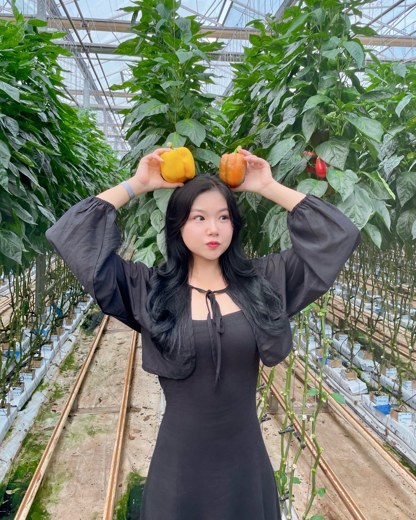 #제작지원
여름 끝자락 농촌 힐링하구 왔지이👩🏻‍🌾

sodosi_travel 에서 진행한 원주농촌크리에이터‼️
파프리카 수확하고 찐빵도 만들고~ 복숭아 디저트까지 만들어 먹고 당 충전 제대로 한 하루💖
(제작 티셔츠까지 센스 넘치는거 아니냐구~~)

앙버터 찐빵 진촤루 맛있구,, 담날까지 열심히 먹었다는🥹 

첨 가본 원주 힐링 그자체🧚🏻

해당 포스팅은 원주농촌체험휴양마을협의회x소도시트래블의 지원을 받아 작성되었습니다.

#국내여행 #원주크리에이투어 #원주농촌크리에이투어 #강원도원주미식여행 #찐빵만들기체험 #원주가볼만한곳추천 #황둔삼송마을 #삼송마을쌀찐빵 #치악산복숭아 #파프리카수확체험 #소도시트래블
